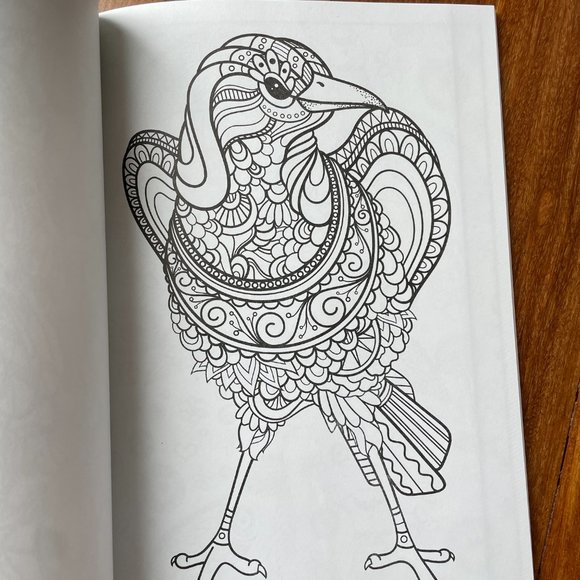 NEW Everyone Loves Coloring Birds Adult Coloring Book by Bendon Publishing - Picture 7 of 10